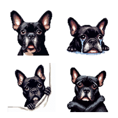 言葉なしリアクションで伝える フレブル 黒