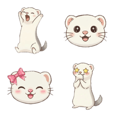 Ferret's daily life
