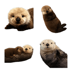 otter parent and baby