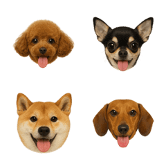 わんこ図鑑/犬/ドッグ/絵文字