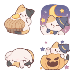 かわいい三毛猫ちゃん