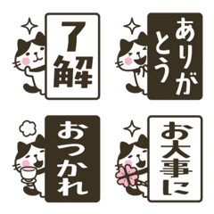 Moving! hachiware cat Hachi-san kuro