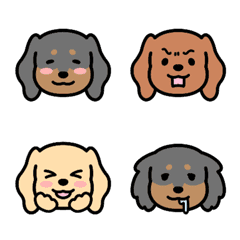 Lovely Dachshunds 2
