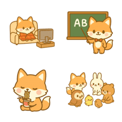 Tiny Fox Moments