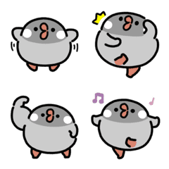 もちもち桜文鳥 動く絵文字