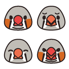 zebra finchs Emoji