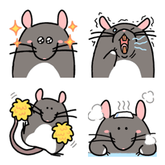 Fancy Rat 2
