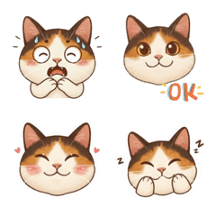 演劇派ネコのオーバーリアクション顔