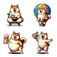 お誘いで使える 太っちょ柴犬