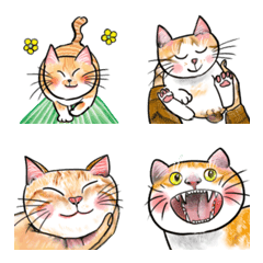 Little Yeyan - Warm hearts,stray cats.