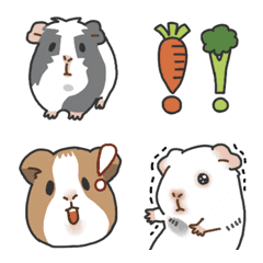 Guinea pig friends