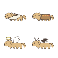 Meibo