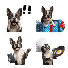 Moving boston terrier Emoji
