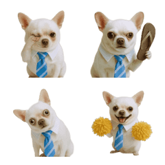 會動的吉娃娃表情符號