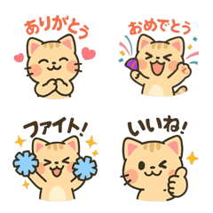 Chatty Kitty