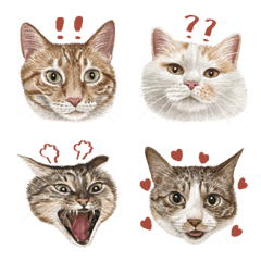 實用貓咪表情貼
