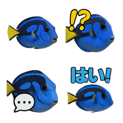 Realistic Yellowtail 1