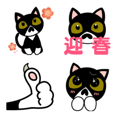 Happy New Year emoji of a bearded cat!