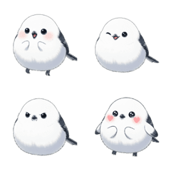 Fluffy Shima-enaga Halloween Faces