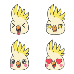 Sulphur-crested Cockatoo 1 No Text