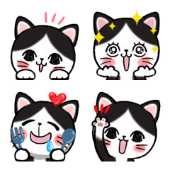 猫にゃんず　=ハチワレ=2