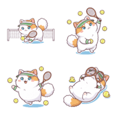 てにゃんの肉球エース！