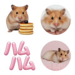 Lovely Hamster World