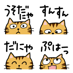 A brown tabby that can talk