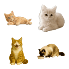 ねこさん♩絵文字