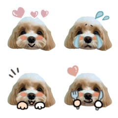 ちゃちゃまるの絵文字