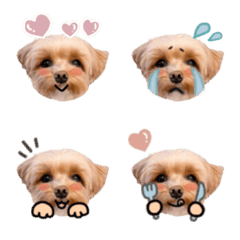 フィーカの絵文字