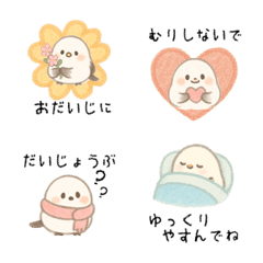 Shimaenaga Penuh Kasih