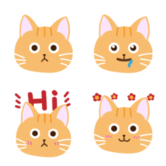 貓貓發財實用表情貼