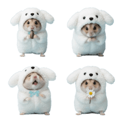 Hamster wearing a white dog costume