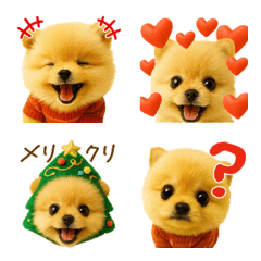 ポメラニアンの日常フレーズ絵文字