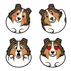 Rough Collie 10 Plain