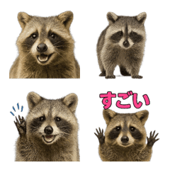 Realistic Raccoon1