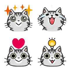 My One and Only Cat: AmericanS cat Emoji