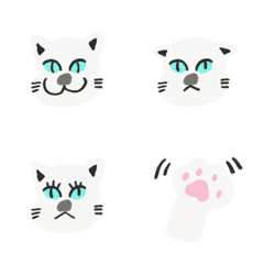 White cats are the best