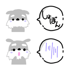 ＊日常＊しょんぼり＊withシュナ