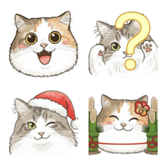 長毛猫ちゃんずの絵文字(秋冬)