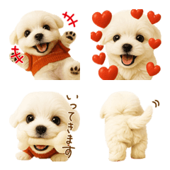 マルチーズの日常フレーズ絵文字