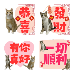 Chang Tung & MeiMei so Cute
