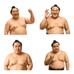 Easy-to-use Simple Sumo Wrestler