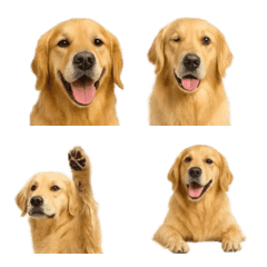 Realistic Golden Retriever