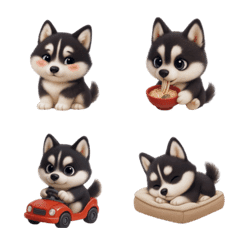 かわいいシベリアンハスキー犬