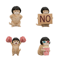 ボブヘアの面白い顔のオレンジ猫