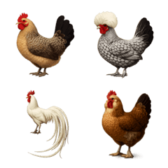 A large gathering of chickens