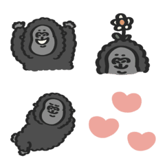 Daily (with Gorilla)