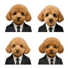 Realistic suit Toy Poodle